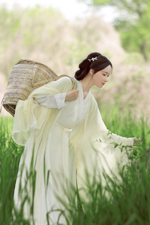 火影忍者禁图大全